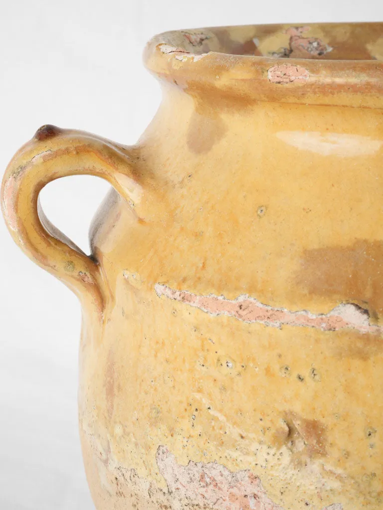 19th Century Confit Pot - Yellow 9¾"