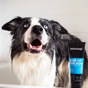 Animology Hair of the Dog Shampoo