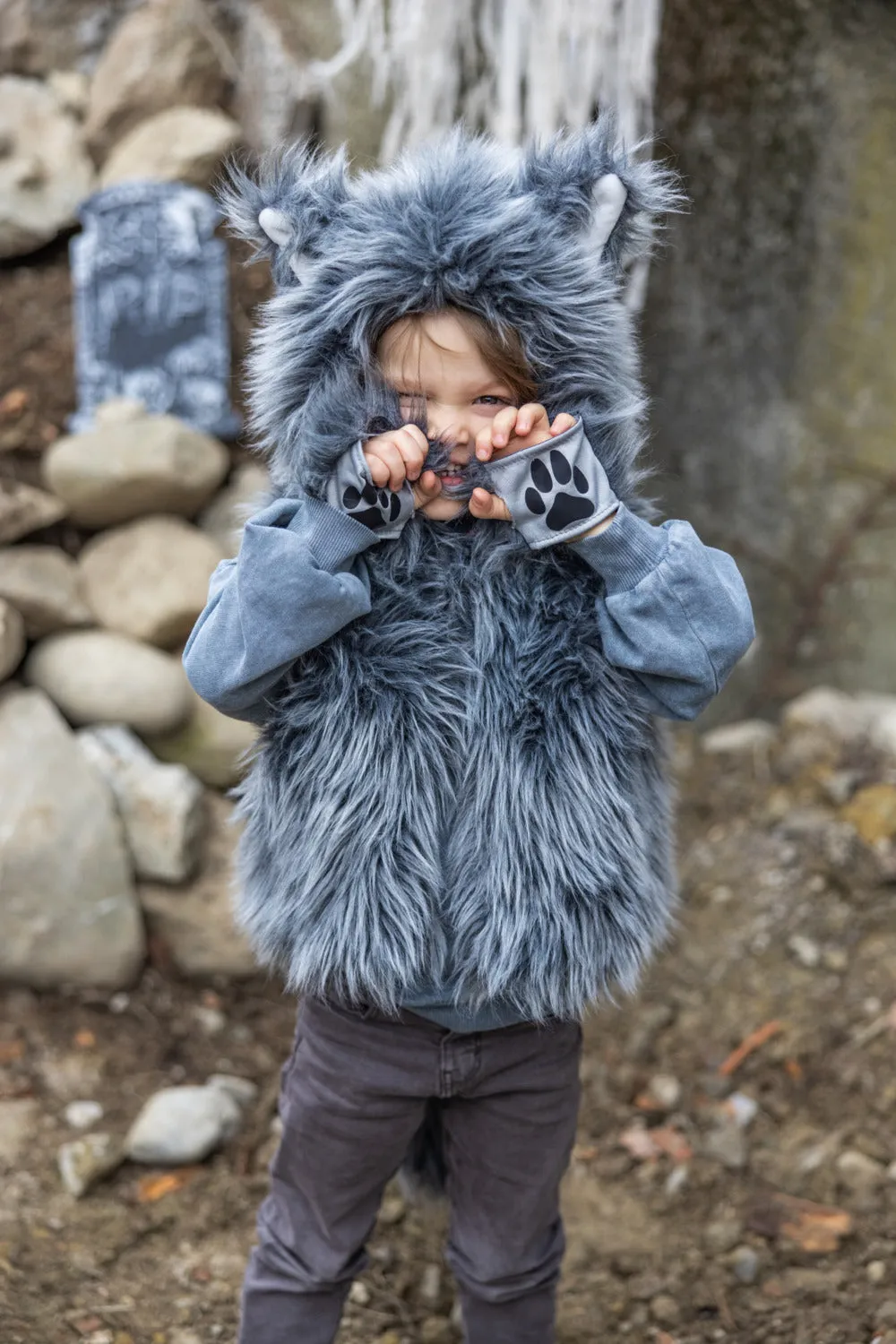 Big Bad Wolf Costume Size 3-4