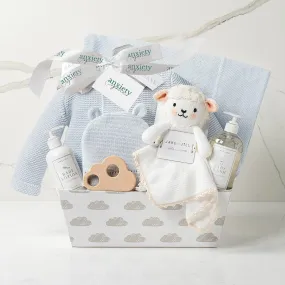 Bundle of Joy Baby Gift Basket in Blue