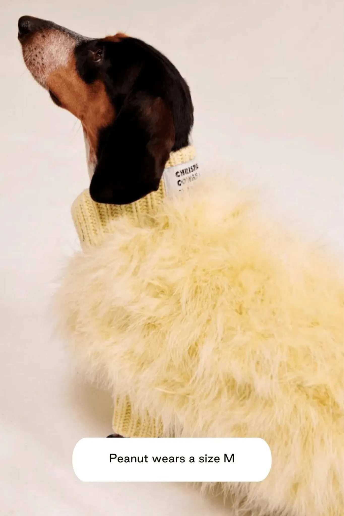 Christian Cowan x Maxbone: Dog Jumper - Yellow