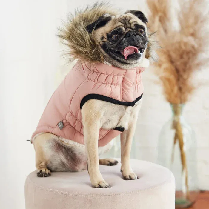 GF Pet Urban Parka