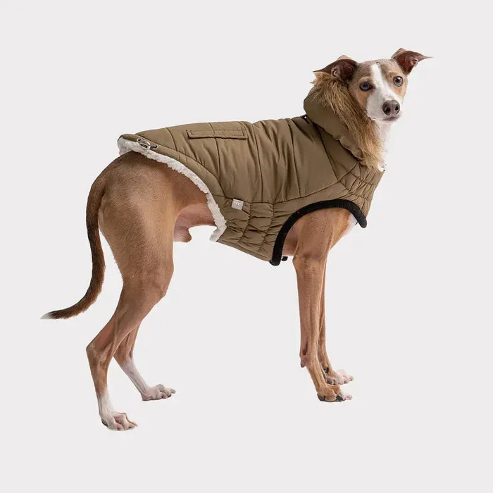 GF Pet Urban Parka