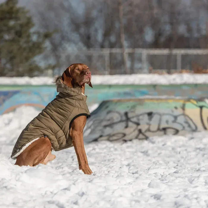 GF Pet Urban Parka