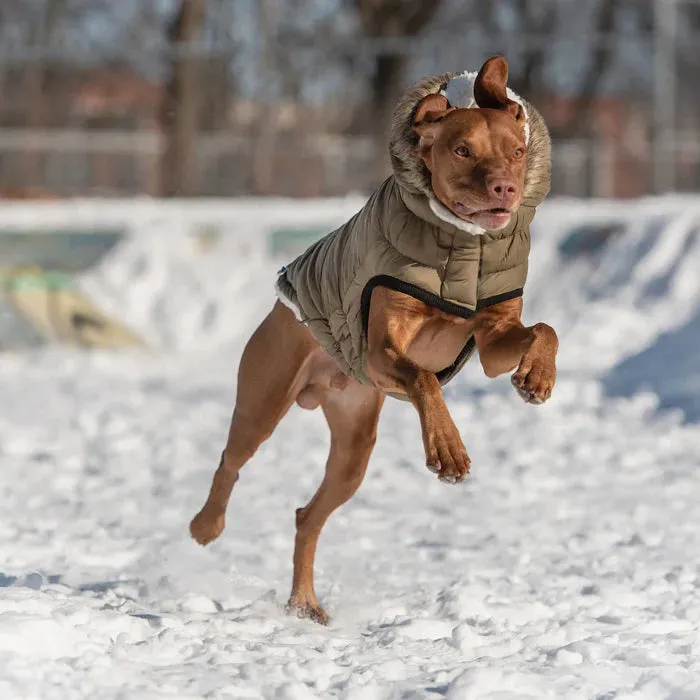 GF Pet Urban Parka