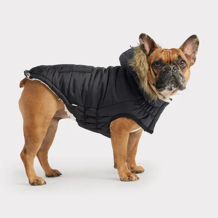 GF Pet Urban Parka