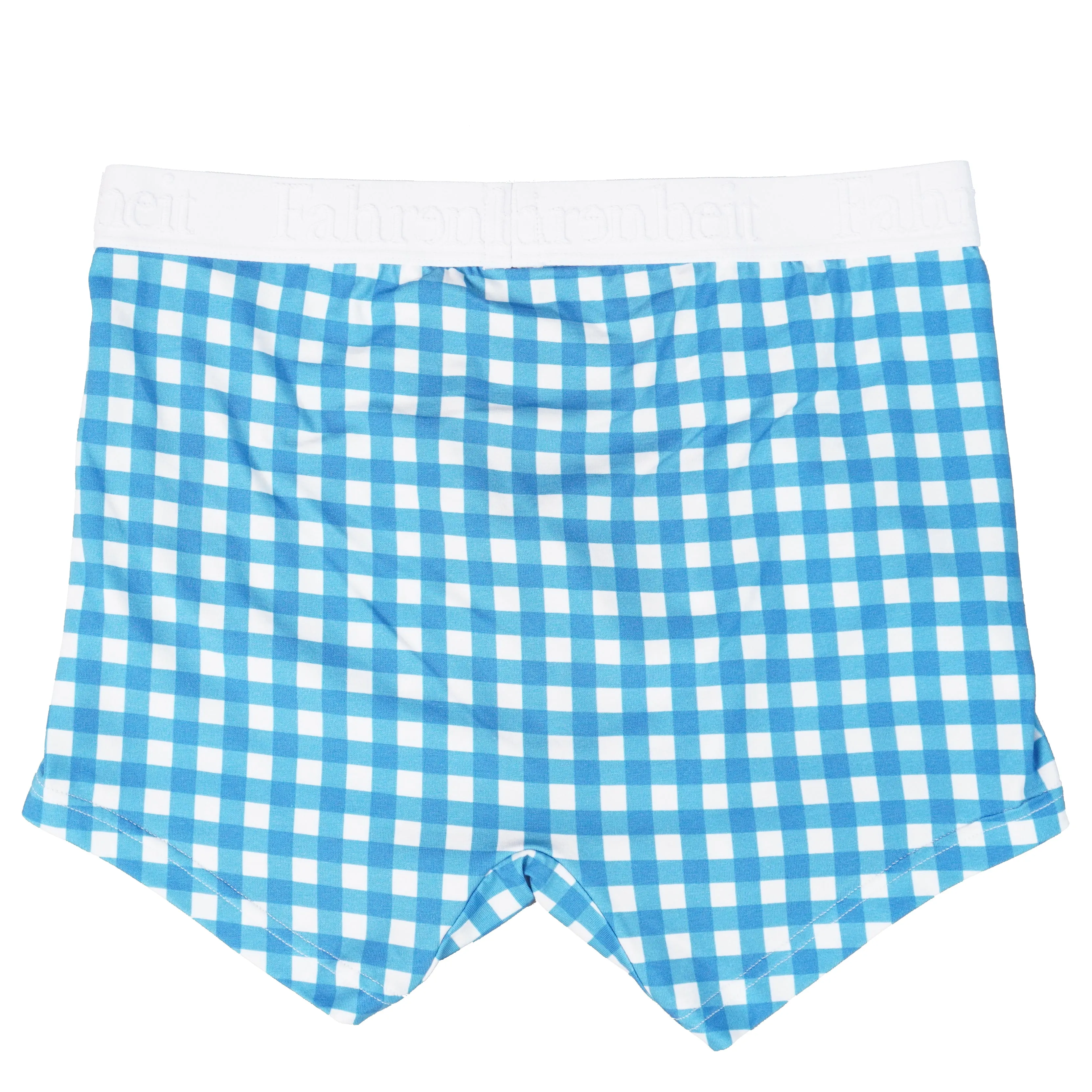 Grant Trunk | Blue Gingham