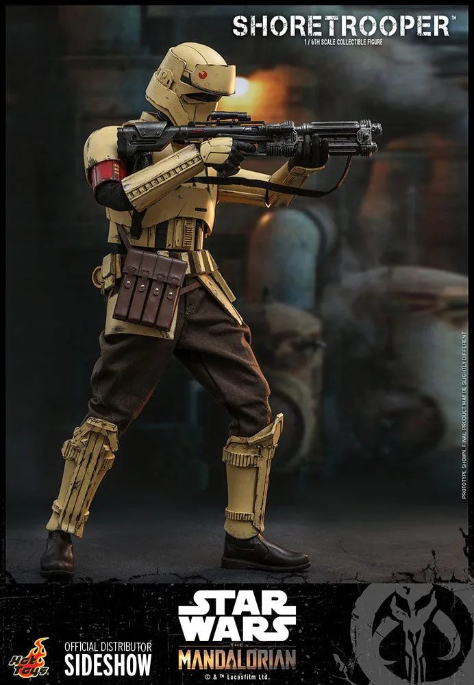 HOT TOYS STAR WARS: THE MANDALORIAN SHORETROOPER 1/6 TMS031