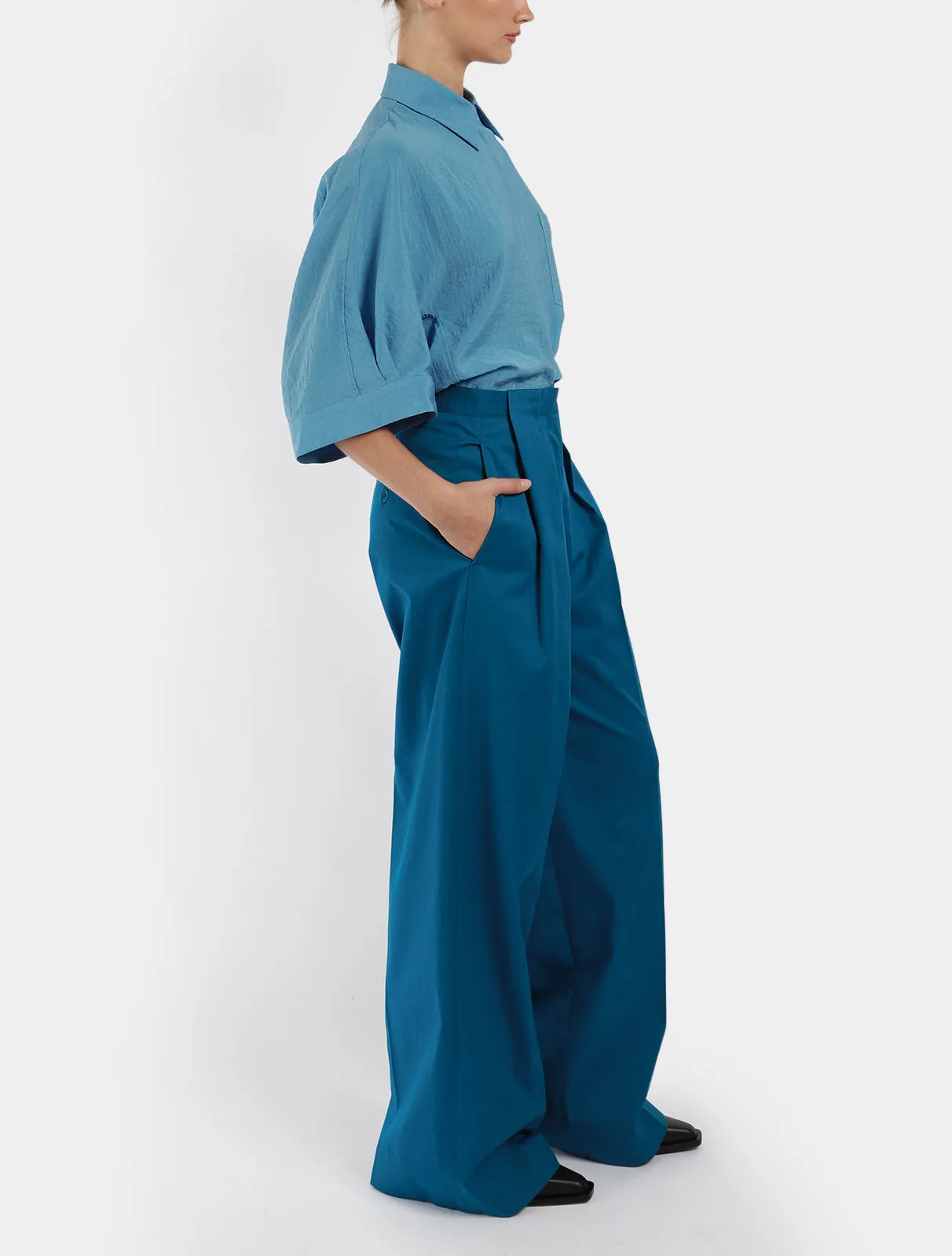 Pamibia Pleat Pants