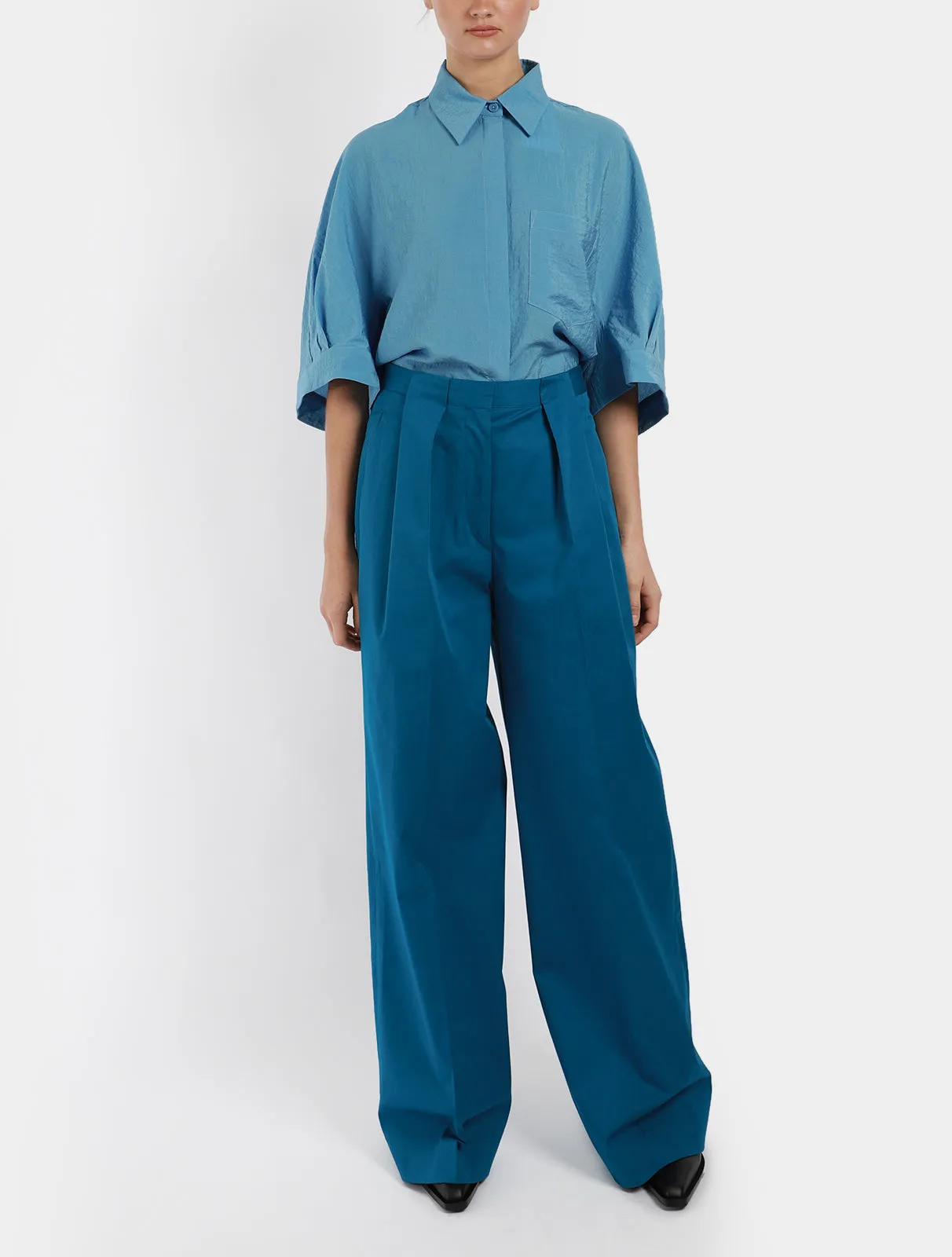 Pamibia Pleat Pants