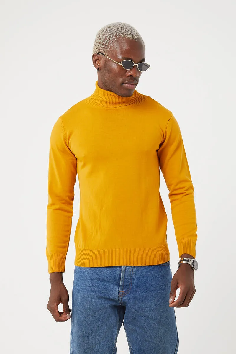 TR Premium Knit Slim Fit Turtle Neck Sweater