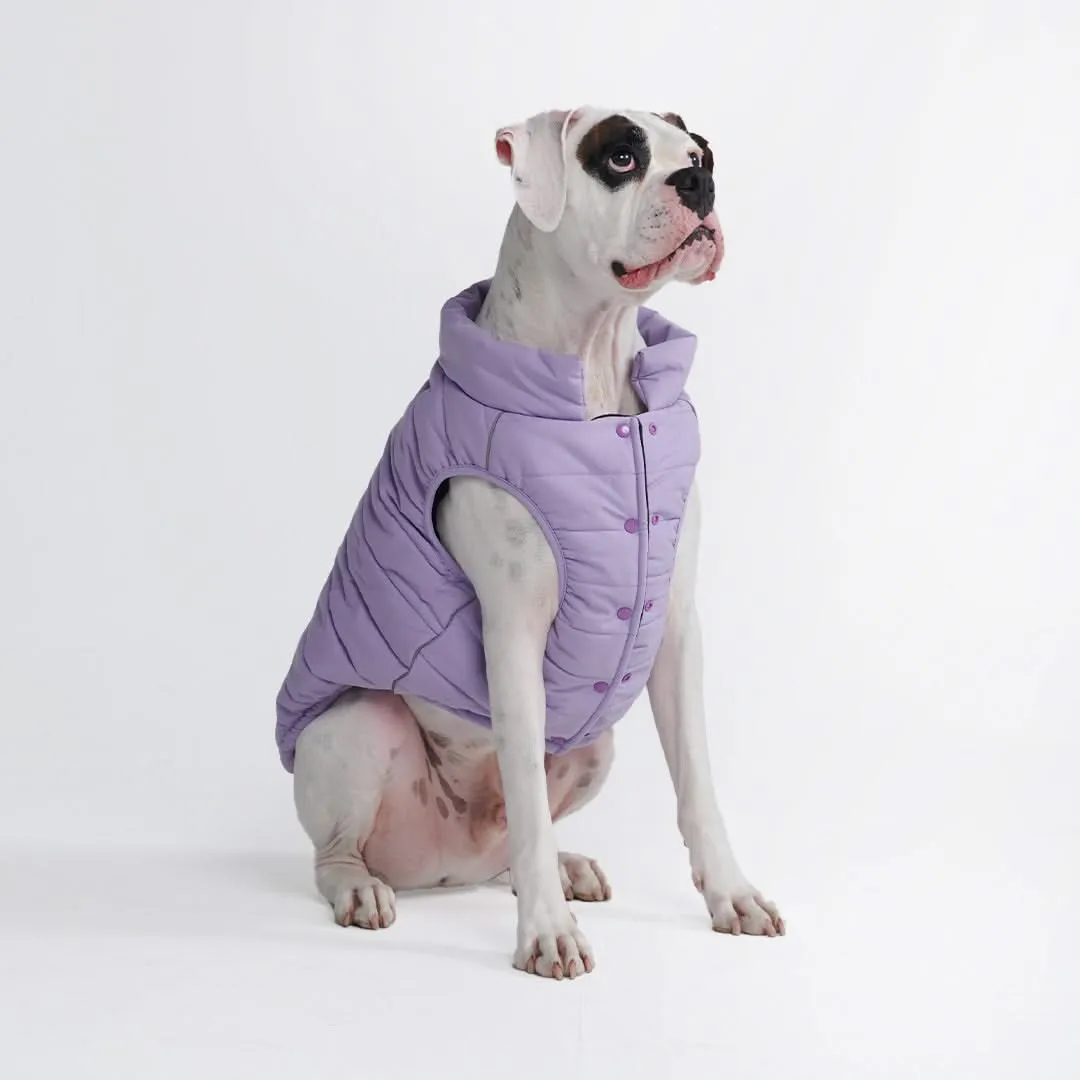 WarmShield Water-Resistant Jacket - Lilac